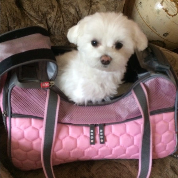 Meet your Posher, Lana - Picture 6 of 6